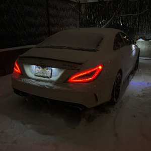 老熟妇露黑蝴蝶x8
