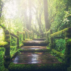 老熟妇露黑蝴蝶x8
